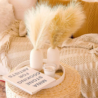 Herbe de pampas artificielle